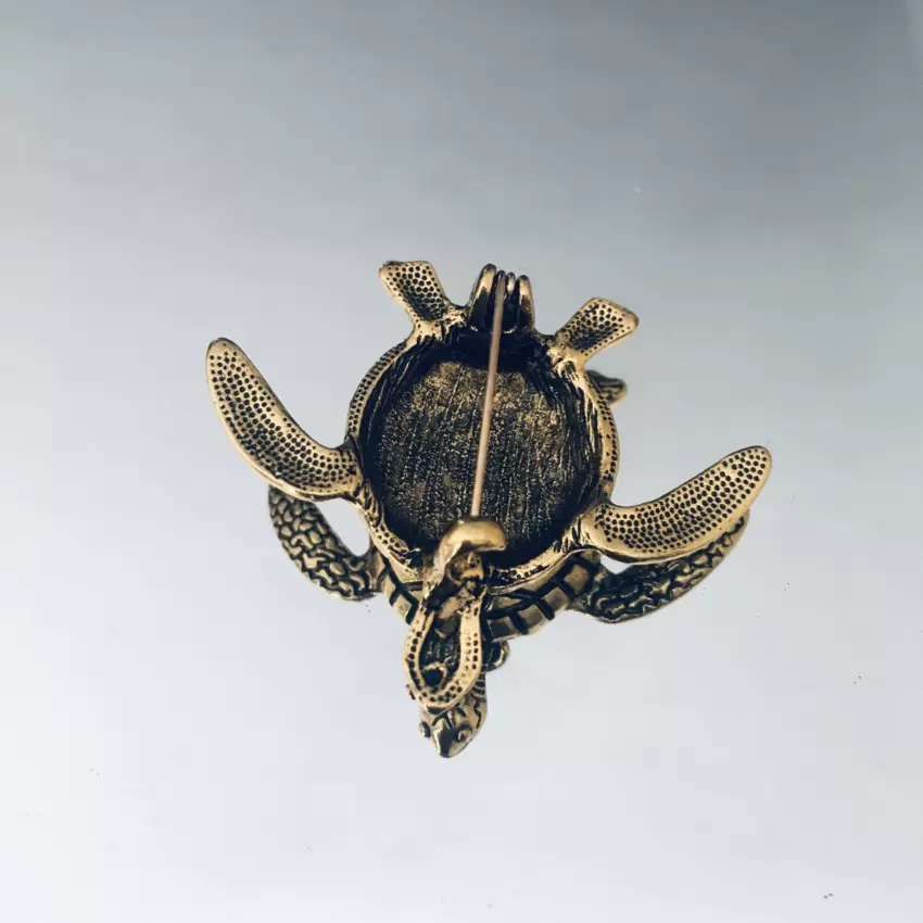 Tortoise pin  Nuvolari   