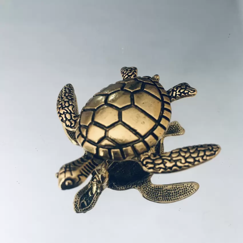 Broche tortue  Nuvolari  