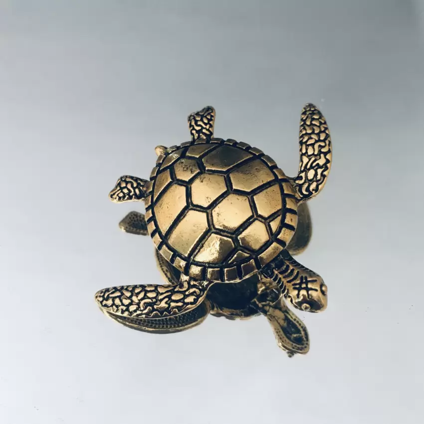 Broche tortue  Nuvolari  