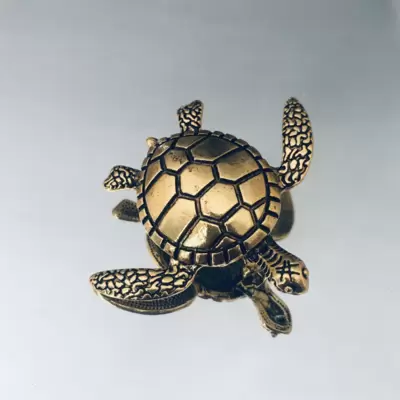 Broche tortue  Nuvolari 